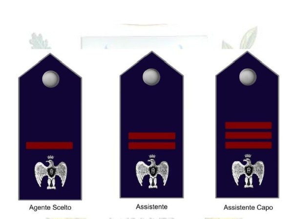 Promozione alla qualifica di agente scelto - assistente ed ass. capo