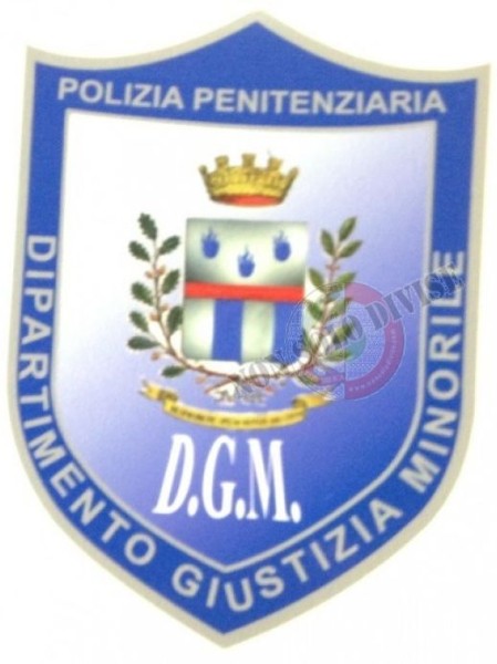 Ricognizione per l'individuazione di n. 8 unità del ruolo Agenti/Assistenti e n. 1 unità del ruolo Sovrintendenti da impiegare presso il Servizio Sicurezza del D.G.M.C.