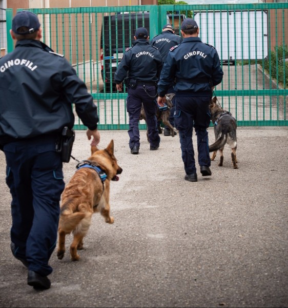 Interpello conduttori cinofili - Distaccamento Firenze